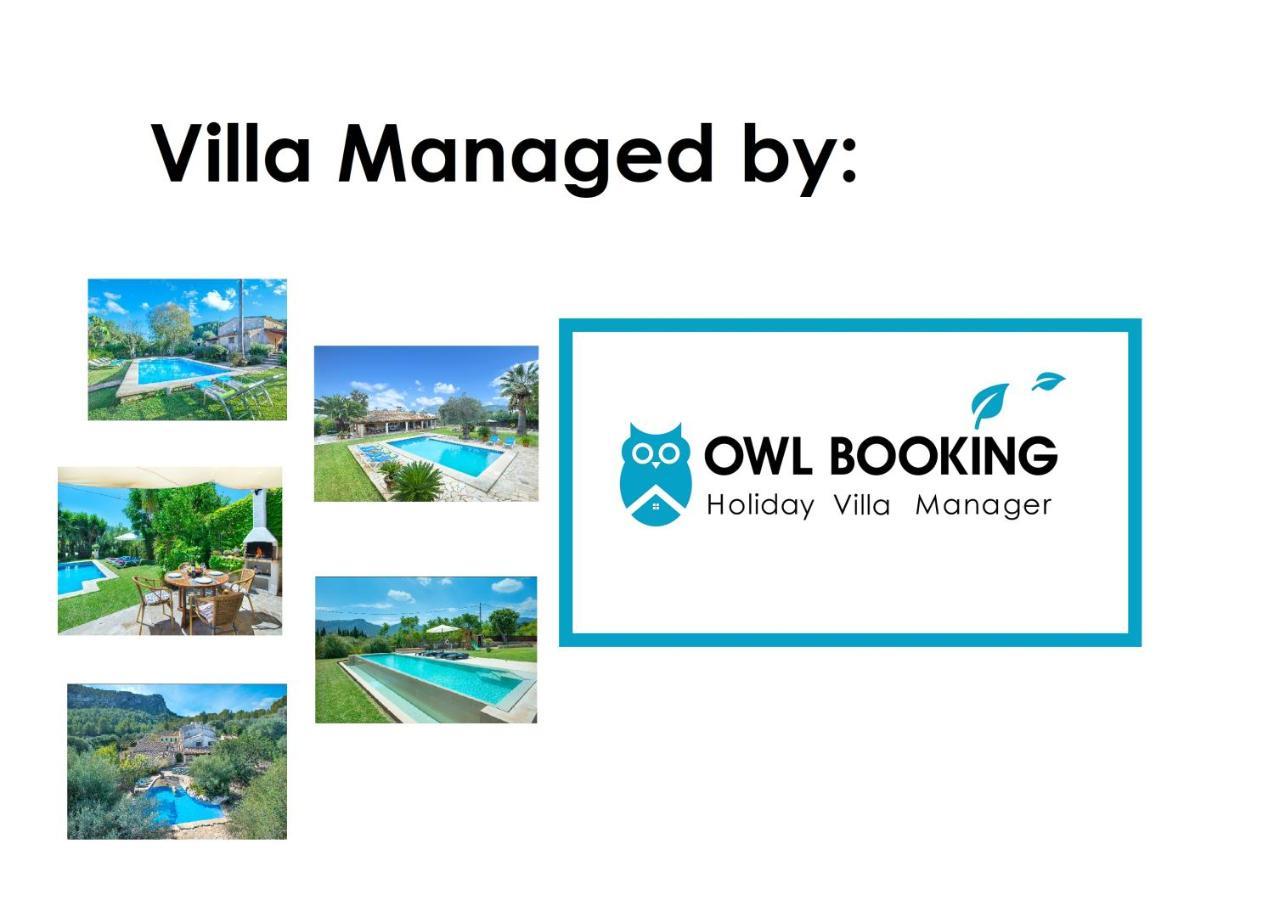 Owl Gorreta - 5 Min Walk To The Old Town Pollenca