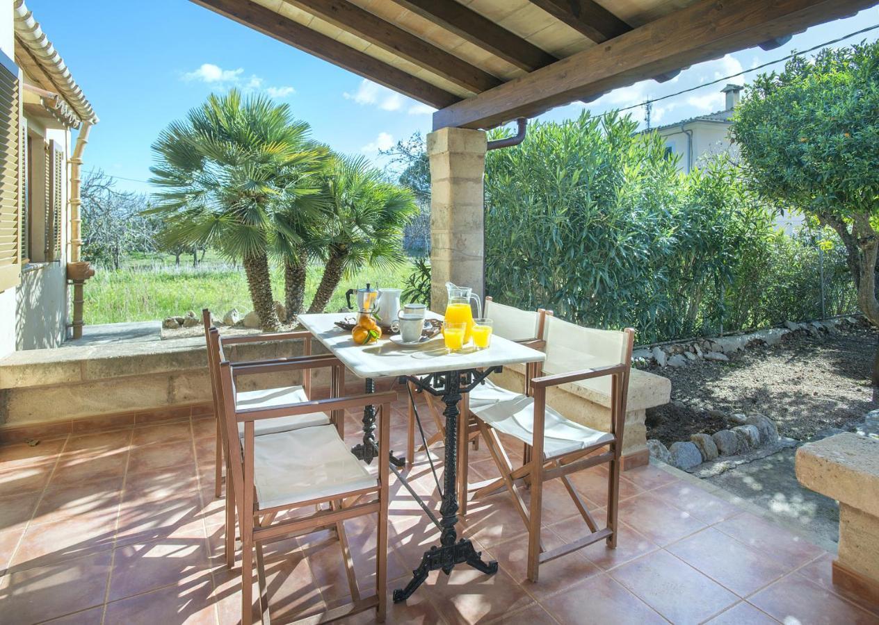 Owl Gorreta - 5 Min Walk To The Old Town * Pollenca